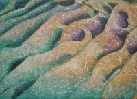 /album/galerie-de-photos-ocean/sous-locean-jpg/